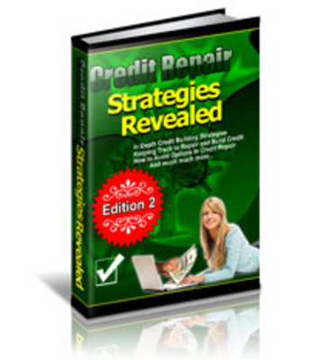 Product picture Credit Repair Strategies